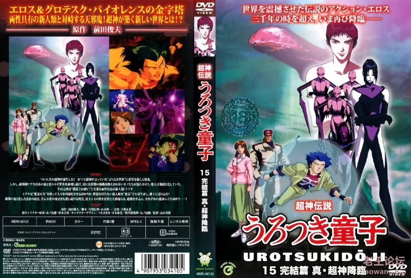 cover 13.jpg